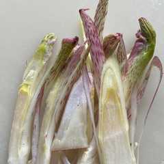 ウドの芽のマヨネーズ焼き-レシピのメイン写真