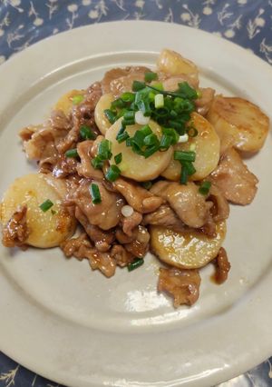 豚肉と長芋の甘辛照り焼き-レシピのメイン写真