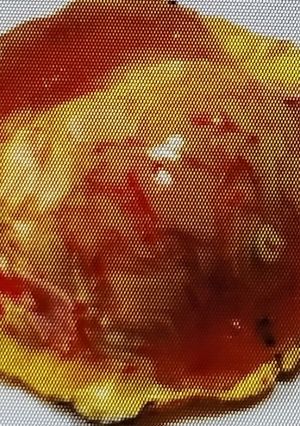 カニカマとネギで天津飯-レシピのメイン写真