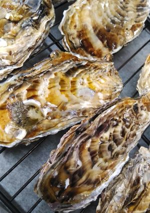 ヘルシオ 焼き牡蠣-レシピのメイン写真