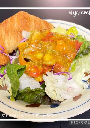 【覚書】トマト果汁消費！食べるハーブドレ-レシピのメイン写真