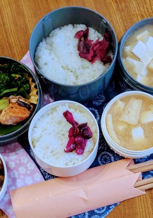 お弁当2026年2月9日-レシピのメイン写真