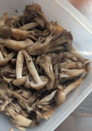 簡単★レンジで「キノコのしぐれ煮」-レシピのメイン写真
