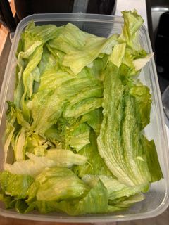 レタスの水切り-レシピのメイン写真