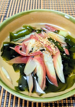 簡単♡わかめとみょうがのさっぱり酢の物♡-レシピのメイン写真