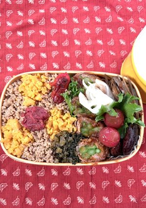 鶏そぼろ肉巻き弁当-レシピのメイン写真