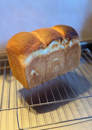 湯種食パン-レシピのメイン写真