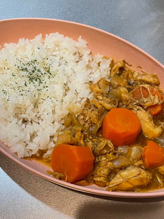 手羽元のほろほろ肉カレー-レシピのメイン写真