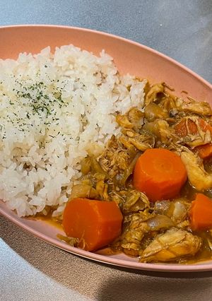 手羽元で！ほろほろ肉のカレー-レシピのメイン写真