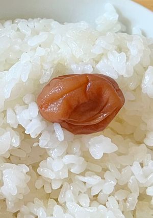 梅干しごはん-レシピのメイン写真