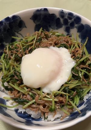 【フレイル予防】卵とろっとシラス豆苗丼-レシピのメイン写真