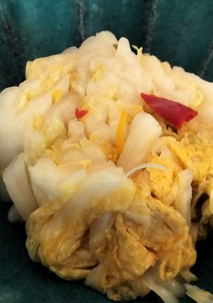 実は簡単★本格自家製・白菜の漬物-レシピのメイン写真
