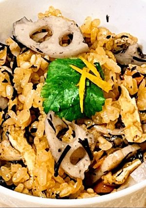 具沢山！鶏肉・ひじき・蓮根の炊き込みご飯-レシピのメイン写真