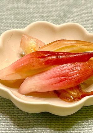 大量消費にも♪ミョウガの甘酢漬け　カンタン酢-レシピのメイン写真
