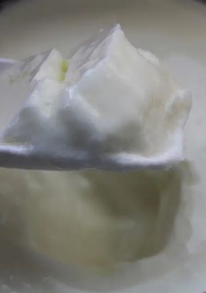 ABCT種菌+おいしい高たんぱく脂肪0-レシピのメイン写真