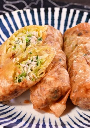 キャベツたっぷり餃子春巻き【食遺産】-レシピのメイン写真
