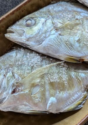 旨味が濃い！ヒラアジ（平アジ）の塩焼き-レシピのメイン写真