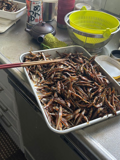 小鮎の佃煮-レシピのメイン写真