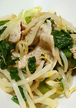 豚肉とたっぷり野菜のピリ辛ナムル♪-レシピのメイン写真