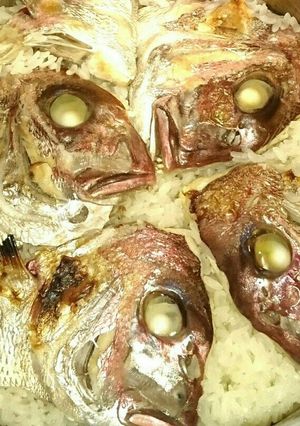 鯛の頭で鯛めし-レシピのメイン写真