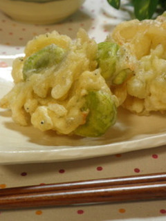 そら豆としらすの天ぷら-レシピのメイン写真