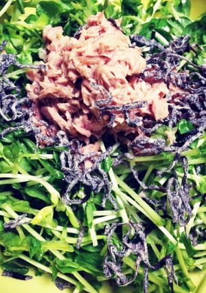 1分でできる豆苗の塩昆布和え☆おつまみ-レシピのメイン写真