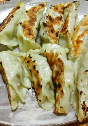 夏のさっぱり餃子-レシピのメイン写真
