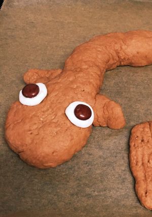 いろいろな顔に使える☆簡単なお菓子の目玉-レシピのメイン写真