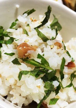梅干し 紫蘇 炒りごま入り ご飯-レシピのメイン写真