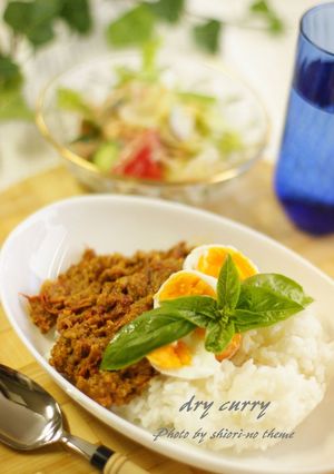 お子ちゃまでもOK❤ドライカレー-レシピのメイン写真