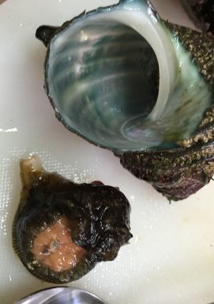 サザエの簡単殻だし-レシピのメイン写真