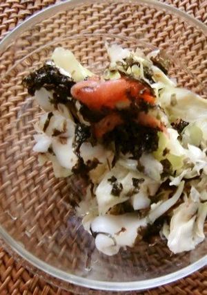 ２：１で、キャベツと海苔の常備菜-レシピのメイン写真
