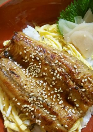 うなぎはランチで.(*´ڡ`●)-レシピのメイン写真
