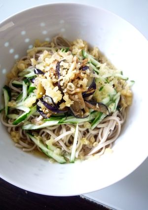 鶏ささみとナスのスタミナそば-レシピのメイン写真
