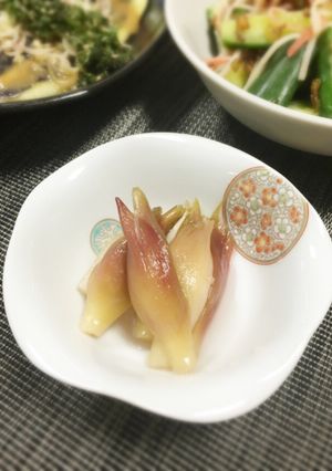 大量消費に！みょうがの甘酢漬け-レシピのメイン写真