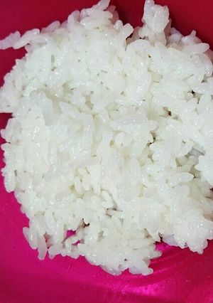 計量簡単☆炊飯器で軟飯(大体1日分)-レシピのメイン写真