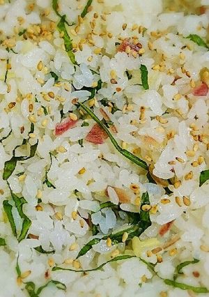 薬味で☆さっぱり酢飯-レシピのメイン写真