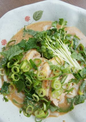 みつせ鶏と薬味たっぷり、ぶっかけうどん-レシピのメイン写真