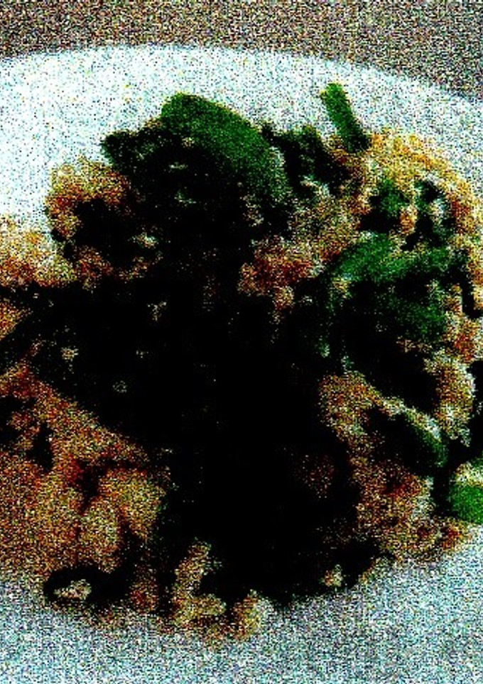ほうれん草の根とささ身の白和え-レシピのメイン写真