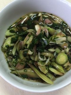 オカワカメと茗荷の酢の物-レシピのメイン写真