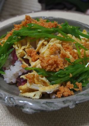 カンタン酢で♪漬物寿司-レシピのメイン写真