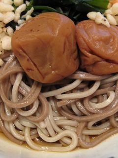 梅わかめそば-レシピのメイン写真