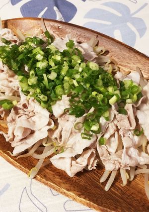 さっぱりおいしい、もやしゃぶサラダ♬-レシピのメイン写真