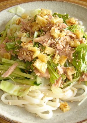 変り種!?サラダうどん!-レシピのメイン写真