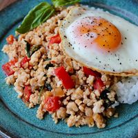 ★バカオライス☆ 基本からアレンジまで！思わずつくりたくなる「ガパオ ナンプラー