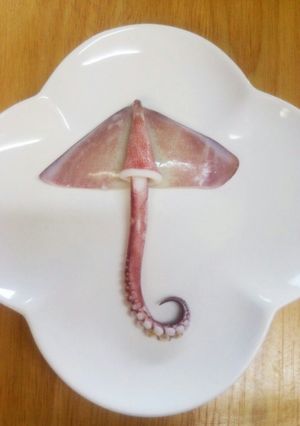 *イカで傘*-レシピのメイン写真