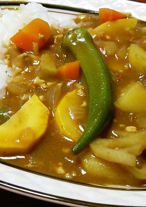 とにかく夏野菜カレー♪-レシピのメイン写真