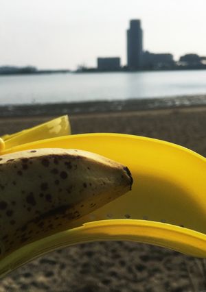 バナナの☆お弁当-レシピのメイン写真