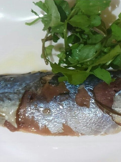 鯖のオイル煮-レシピのメイン写真