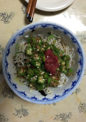 オクラと梅しらすの丼-レシピのメイン写真
